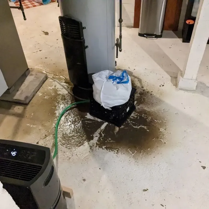 Sewage Backup Cleanup Service in Harkers Island, NC